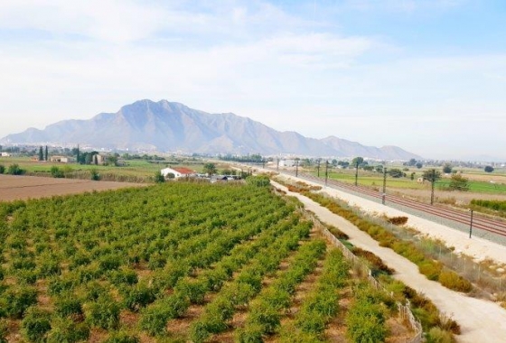 Adosado - Reventa - Callosa De Segura - Callosa De Segura