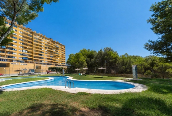 Apartament - Rynek wtórny - Orihuela Costa - Altos de Campoamor