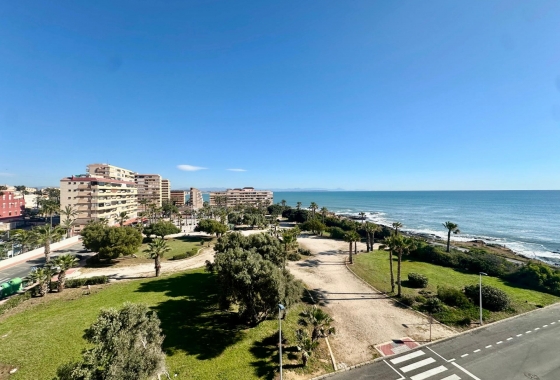Apartament - Rynek wtórny - Torrevieja - Cabo cervera