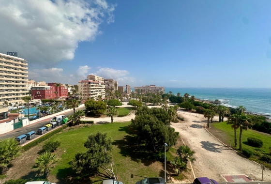 Apartament - Rynek wtórny - Torrevieja - Cabo cervera