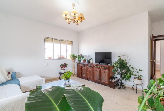 Apartament - Rynek wtórny - Torrevieja - Centro