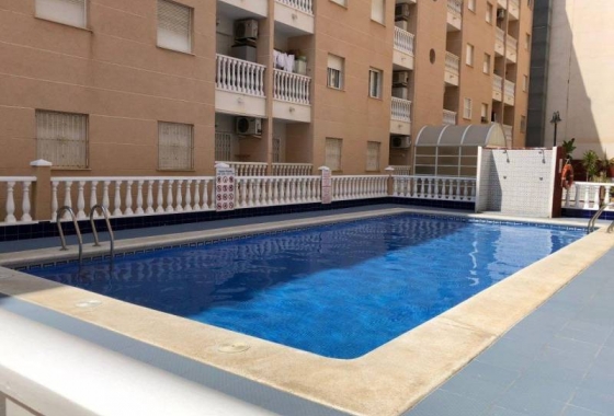 Apartament - Rynek wtórny - Torrevieja - Estacion de autobuses