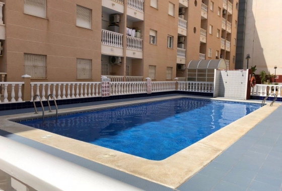 Apartament - Rynek wtórny - Torrevieja - Estacion de autobuses