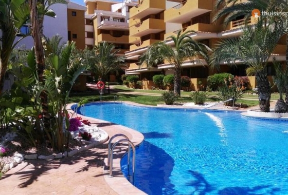 Apartament - Rynek wtórny - Torrevieja - La Entrada