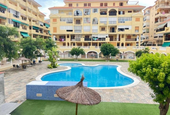 Apartament - Rynek wtórny - Torrevieja - La Mata