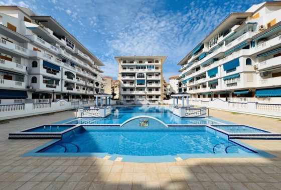 Apartament - Rynek wtórny - Torrevieja - La Mata