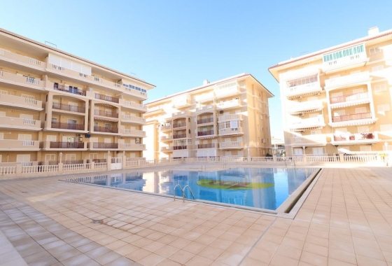 Apartament - Rynek wtórny - Torrevieja - La Mata