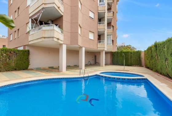 Apartament - Rynek wtórny - Torrevieja - Nueva Torrevieja