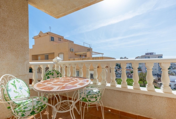 Apartament - Rynek wtórny - Torrevieja - Nueva Torrevieja