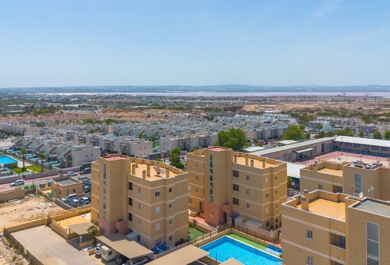 Apartament - Rynek wtórny - Torrevieja - Sector 25