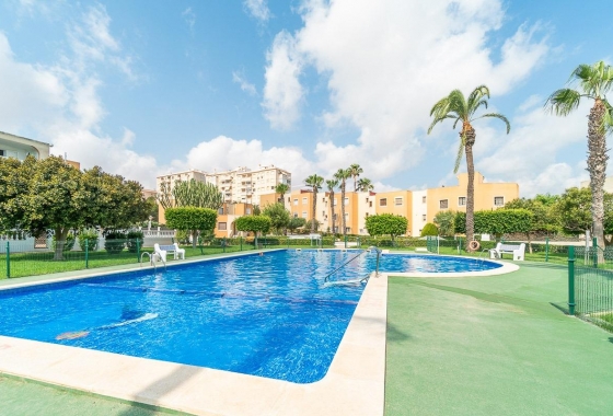 Apartament - Rynek wtórny - Torrevieja - Torreblanca