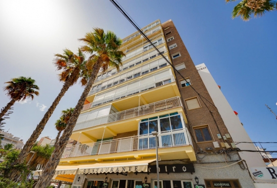 Apartament - Rynek wtórny - Torrevieja - Torrevieja