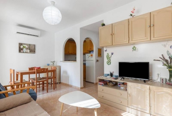 Apartament - Rynek wtórny - Torrevieja - Torrevieja