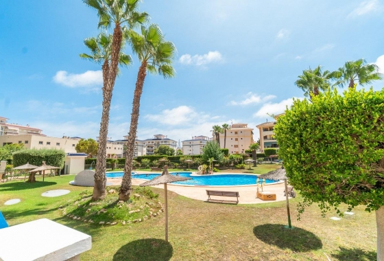 Apartament - Wynajem długoterminowy - Torrevieja - La Mata