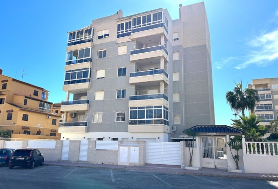 Apartment - New Build - Torrevieja - Torrevieja