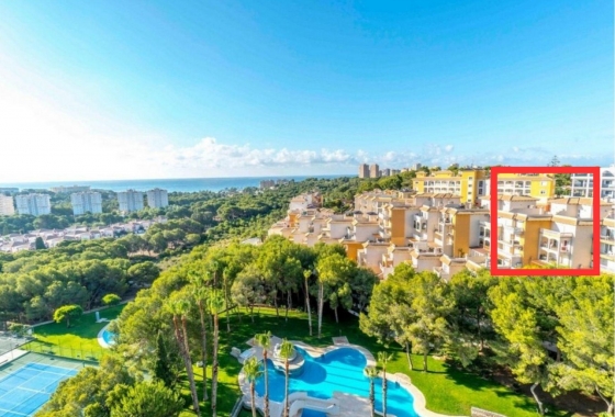 Apartment - Resale - Orihuela Costa - Campoamor
