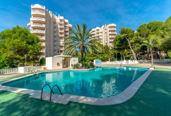 Apartment - Resale - Orihuela Costa - URE-13624