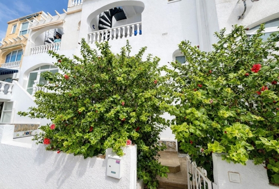 Apartment - Resale - San Miguel de Salinas - Las Filipinas