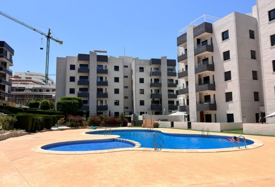 Apartment - Resale - San Miguel de Salinas - San Miguel de Salinas