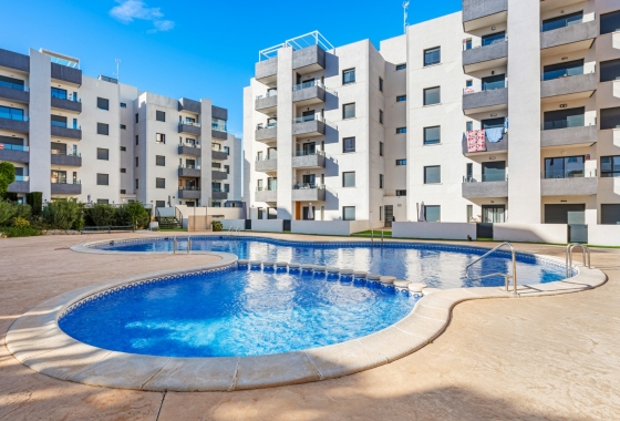 Apartment - Resale - San Miguel de Salinas - San Miguel