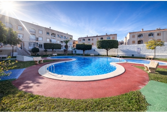 Apartment - Resale - Torrevieja - Acequion