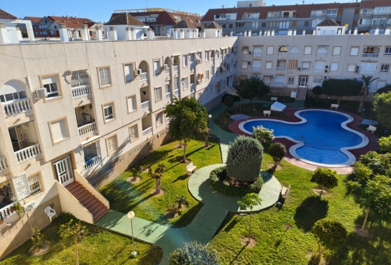 Apartment - Resale - Torrevieja - Acequion