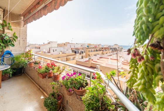Apartment - Resale - Torrevieja - Curva del Palangre