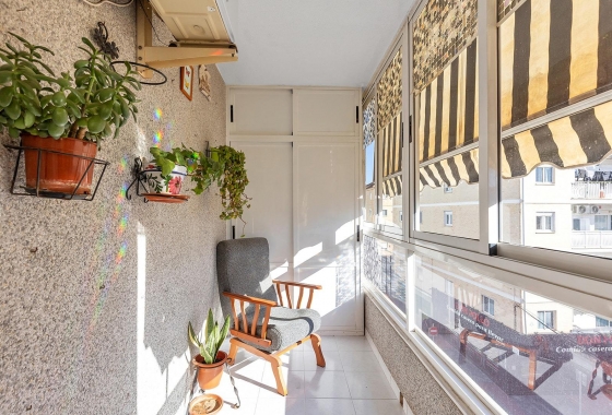 Apartment - Resale - Torrevieja - Estacion de autobuses