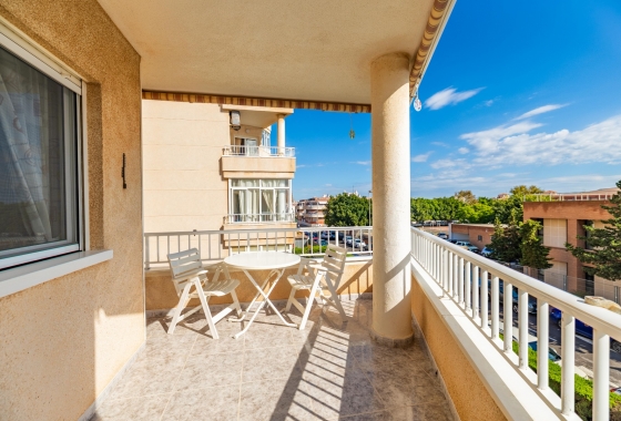 Apartment - Resale - Torrevieja - Torrevieja