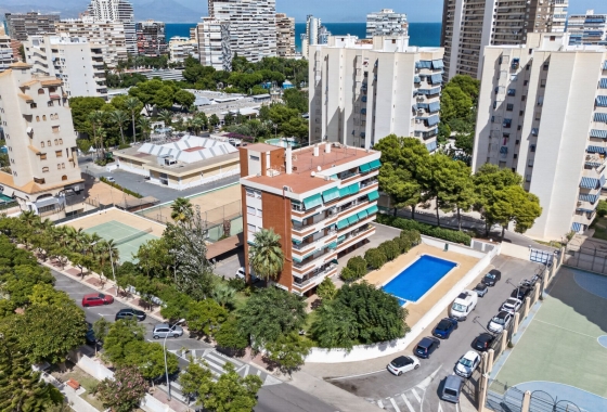 Apartment - Reventa - Alicante - Avenida San Sebastián, 8
