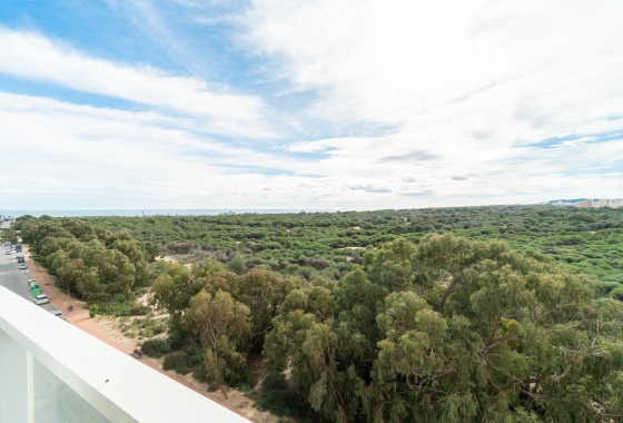 Apartment - Reventa - Guardamar del Segura - Puerto Deportivo