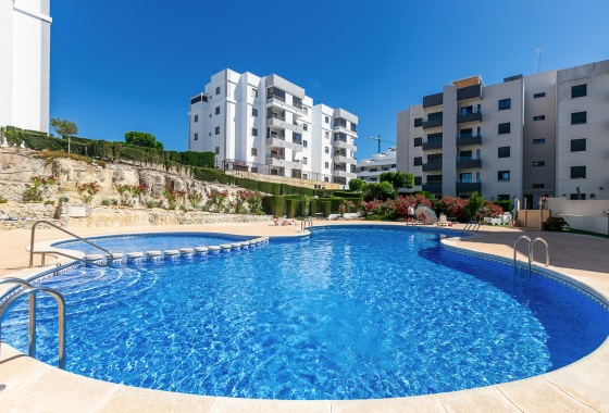 Apartment - Reventa - San Miguel de Salinas - San Miguel De Salinas