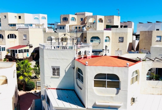 Apartment - Reventa - San Miguel de Salinas - San Miguel de Salinas
