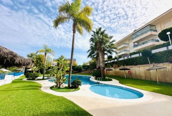 Apartment - Reventa - Torre de la Horadada - Torre de la Horadada