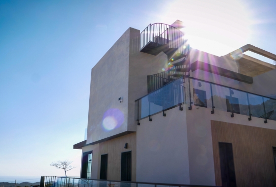 Bliźniak - Rynek pierwotny - Polop - Polop