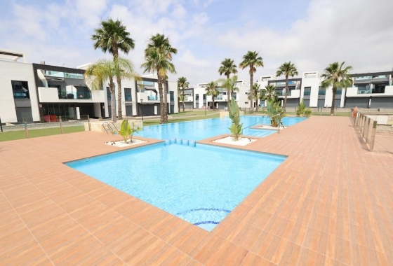 Bungalow - Rynek wtórny - Guardamar del Segura - EL RASO