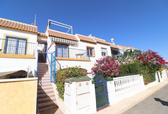 Bungalow - Rynek wtórny - Orihuela Costa - Playa Flamenca