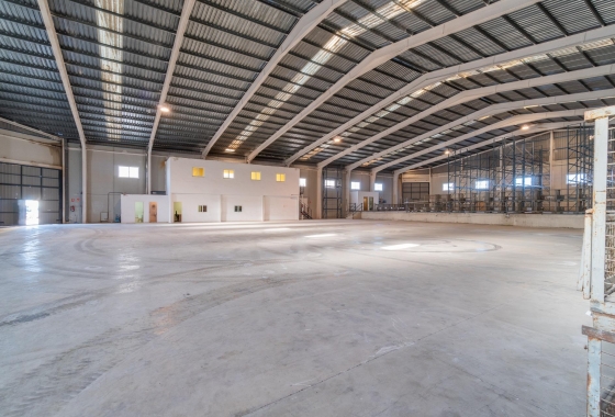 Commercial Unit - Long Term Rental - Pilar de la Horadada - Polígono industrial Cañada de Práez