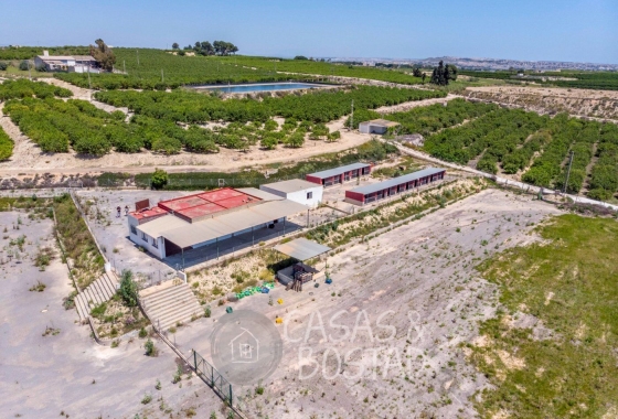 Country House - Reventa - Los Montesinos - Los Montesinos