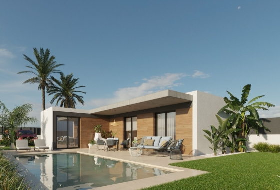 Detached - New Build - Molina De Segura - Molina de Segura
