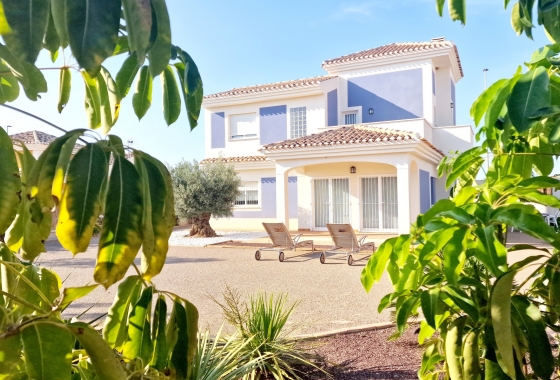 Detached - New Build - Pilar de la Horadada - NEW-25593