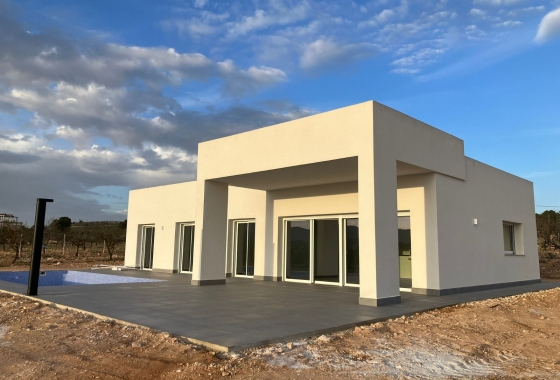 Detached - New Build - Pinoso - Pinoso