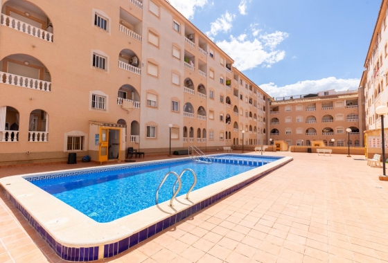 Estudio - Reventa - Torrevieja - Centro - Muelle Pesquero