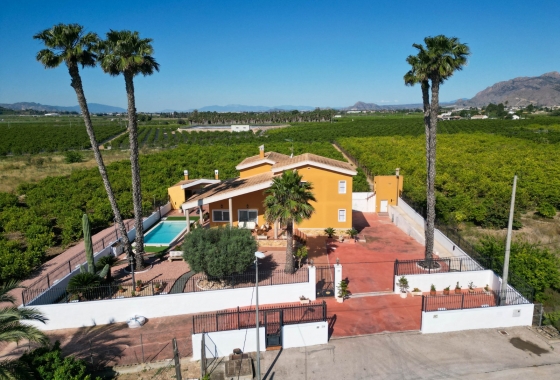 Finca - Country Property - Reventa - Orihuela - Orihuela