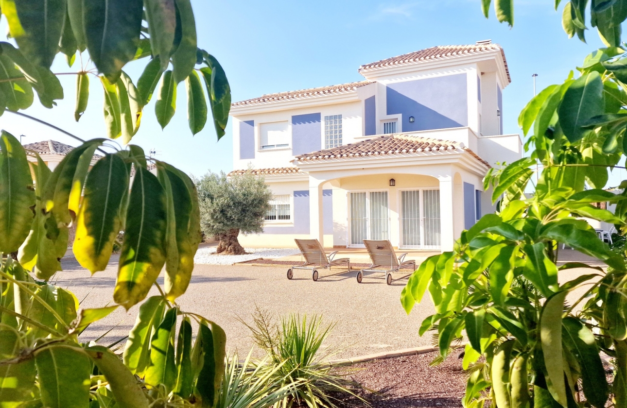New Build - Detached - Pilar de la Horadada - Purias