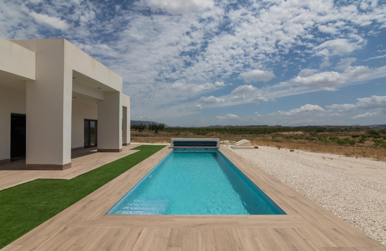 New Build - Villa - Pinoso - Campo