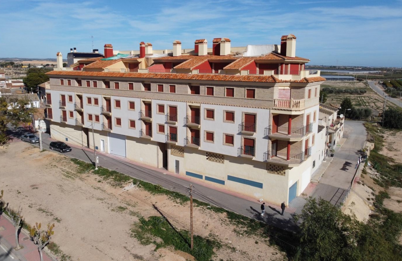 Obra nueva - Apartment - Torrevieja - Jerónimo y Avileses