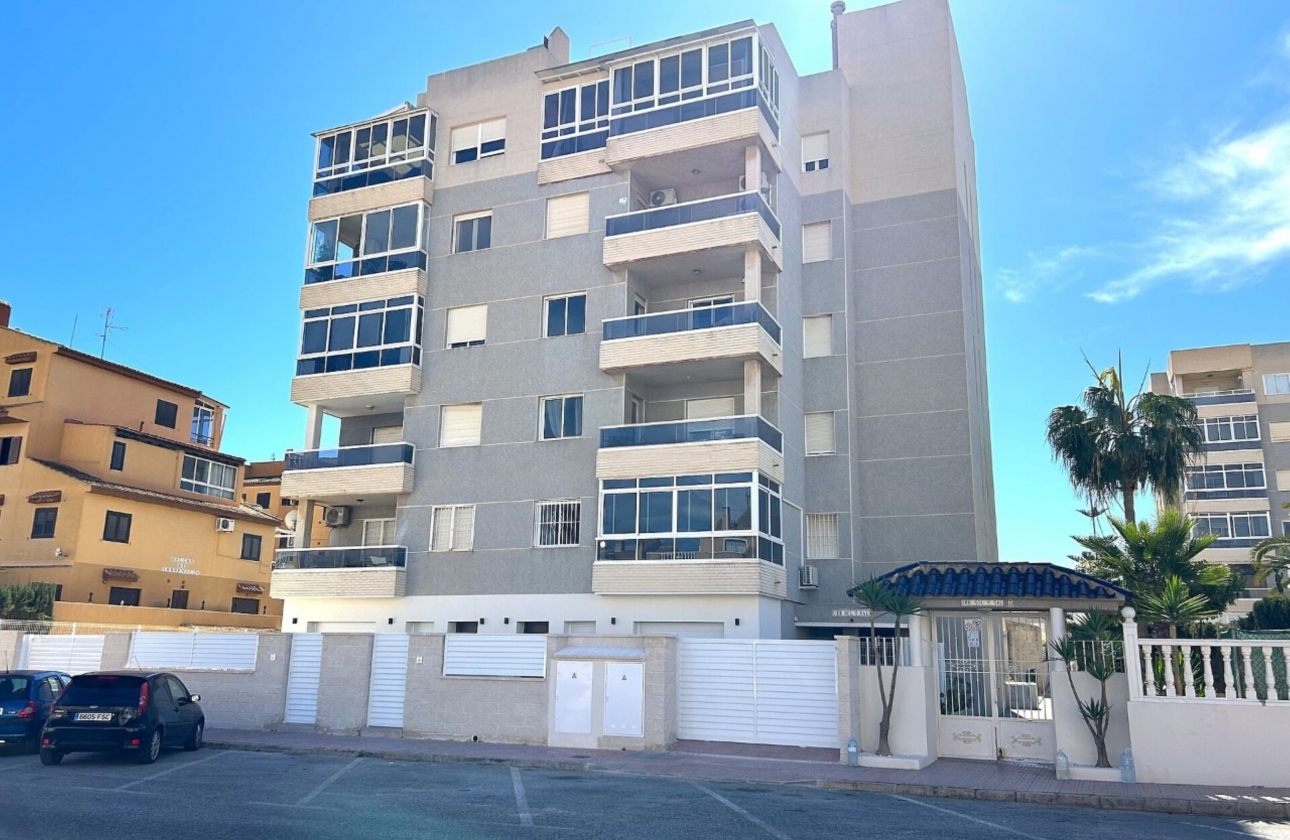 Obra nueva - Apartment - Torrevieja