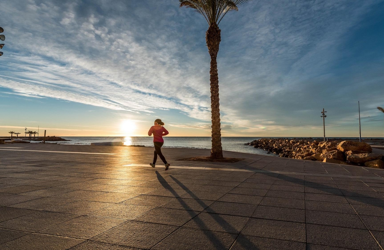 Obra nueva - Ático - Torrevieja - Torreblanca