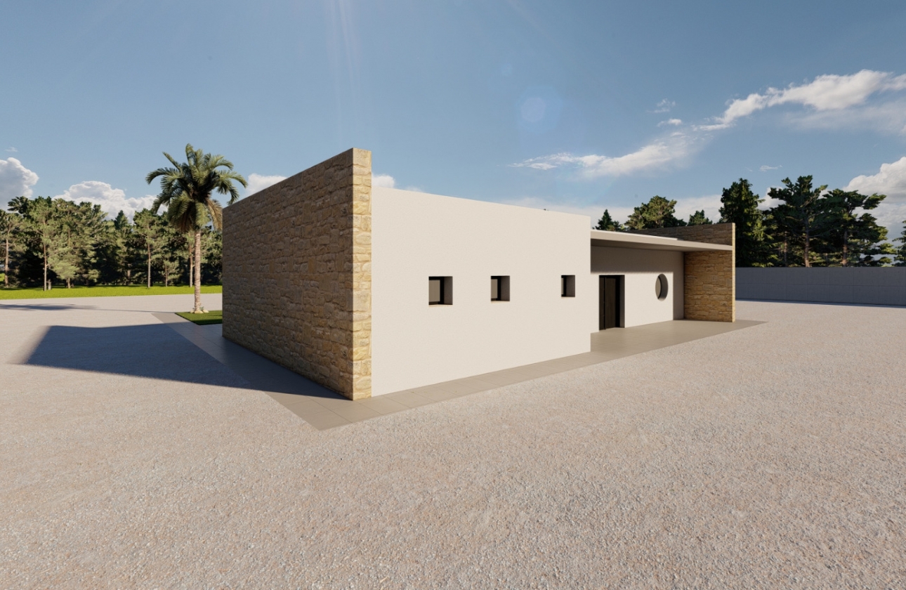 Obra nueva - Detached - El Pinós